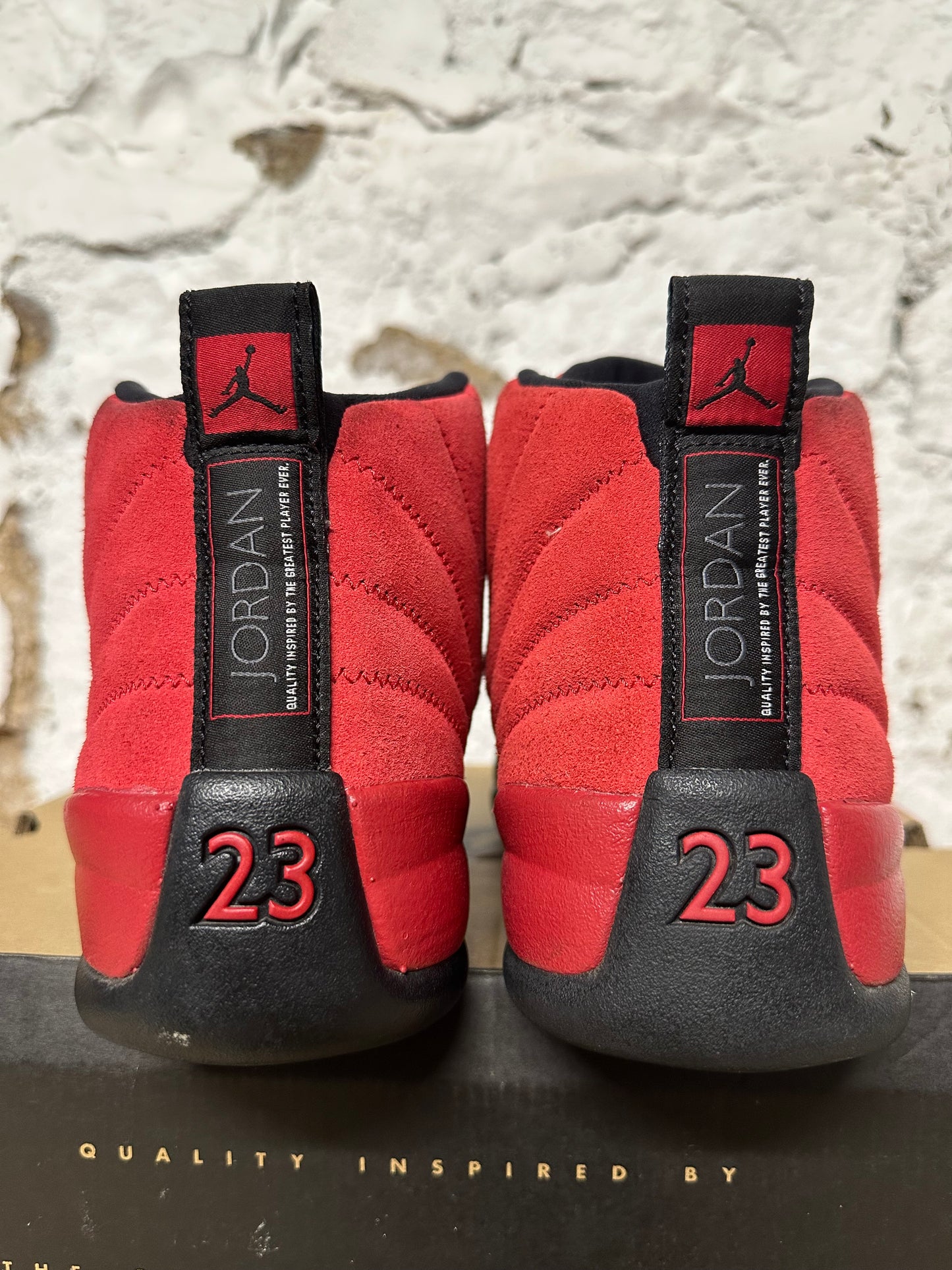 Air Jordan 12 Reverse Flu Game Sz 9