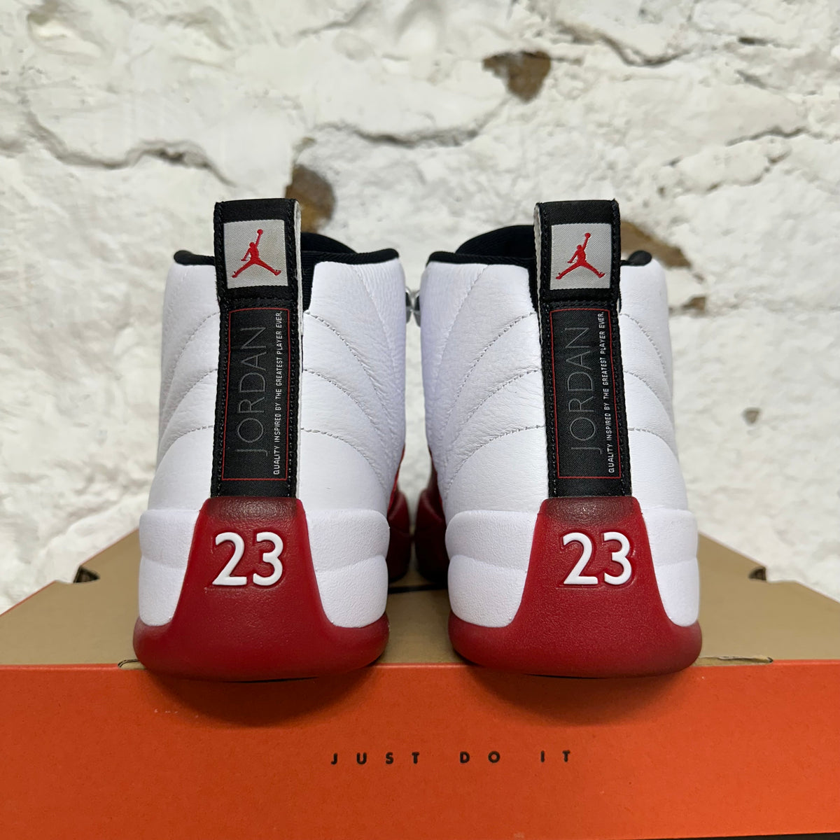 Air Jordan 12 Cherry (2025) Sz 12