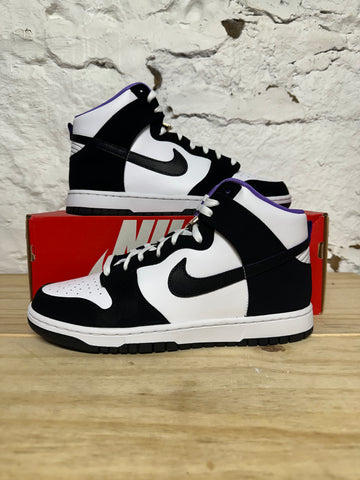 Nike Dunk High World Champs Sz 10.5 DS