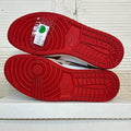 Air Jordan 1 Homage to Home Sz 11