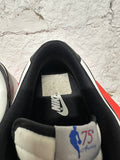 Nike Dunk Low EMB Bulls Sz 12.5