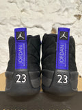 Air Jordan 12 Dark Concord Sz 9.5