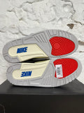 Air Jordan 3 Rare Air Sz 12 DS