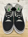 Air Jordan 3 Pine Green Sz 14
