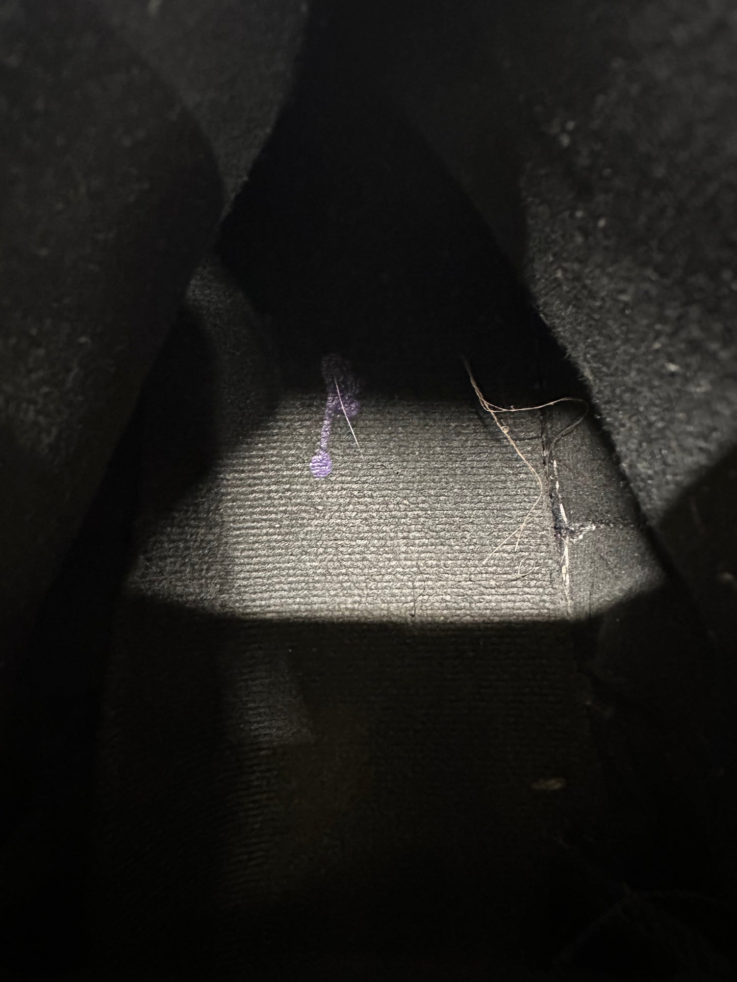 Air Jordan 12 Field Purple Sz 10