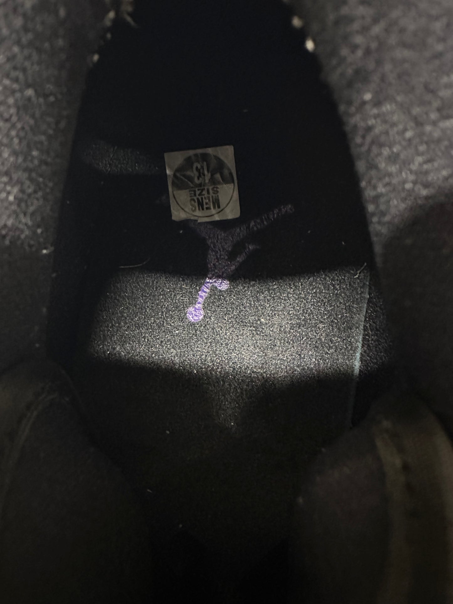Air Jordan 1 Low Court Purple Sz 13