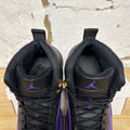 Air Jordan 12 Field Purple Sz 11
