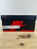 Air Jordan 1 High Bleached Coral Sz 10