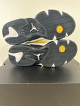 Air Jordan 14 Light Ginger Sz 8