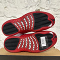 Air Jordan 12 Cherry (2023) Sz 11 DS
