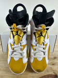 Air Jordan 6 Yellow Ochre Sz 8