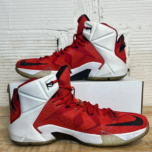 Nike LeBron 12 Heart of a Lion Sz 12