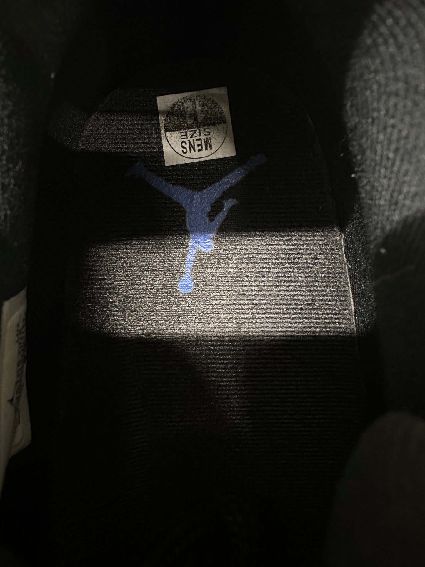 Air Jordan 11 Low Space Jam Sz 12