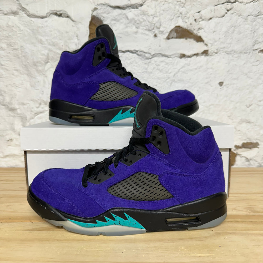 Air Jordan 5 Alternate Grape Sz 9.5