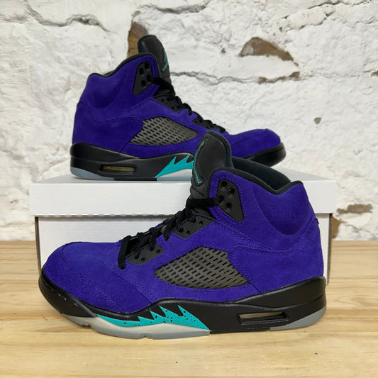 Air Jordan 5 Alternate Grape Sz 9.5