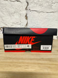 Air Jordan 1 High Bio Hack Sz 10