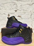 Air Jordan 12 Field Purple Sz 11.5