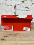 Nike Air Penny 5 Invisibility Cloak Sz 10.5