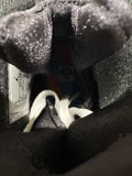 Air Jordan 8 Bugs Bunny (2025) Sz 8.5
