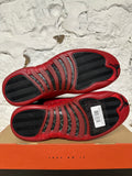 Air Jordan 12 Flu Game Sz 10.5 DS