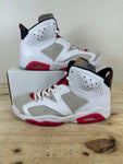 Air Jordan 6 Hare Sz 10.5