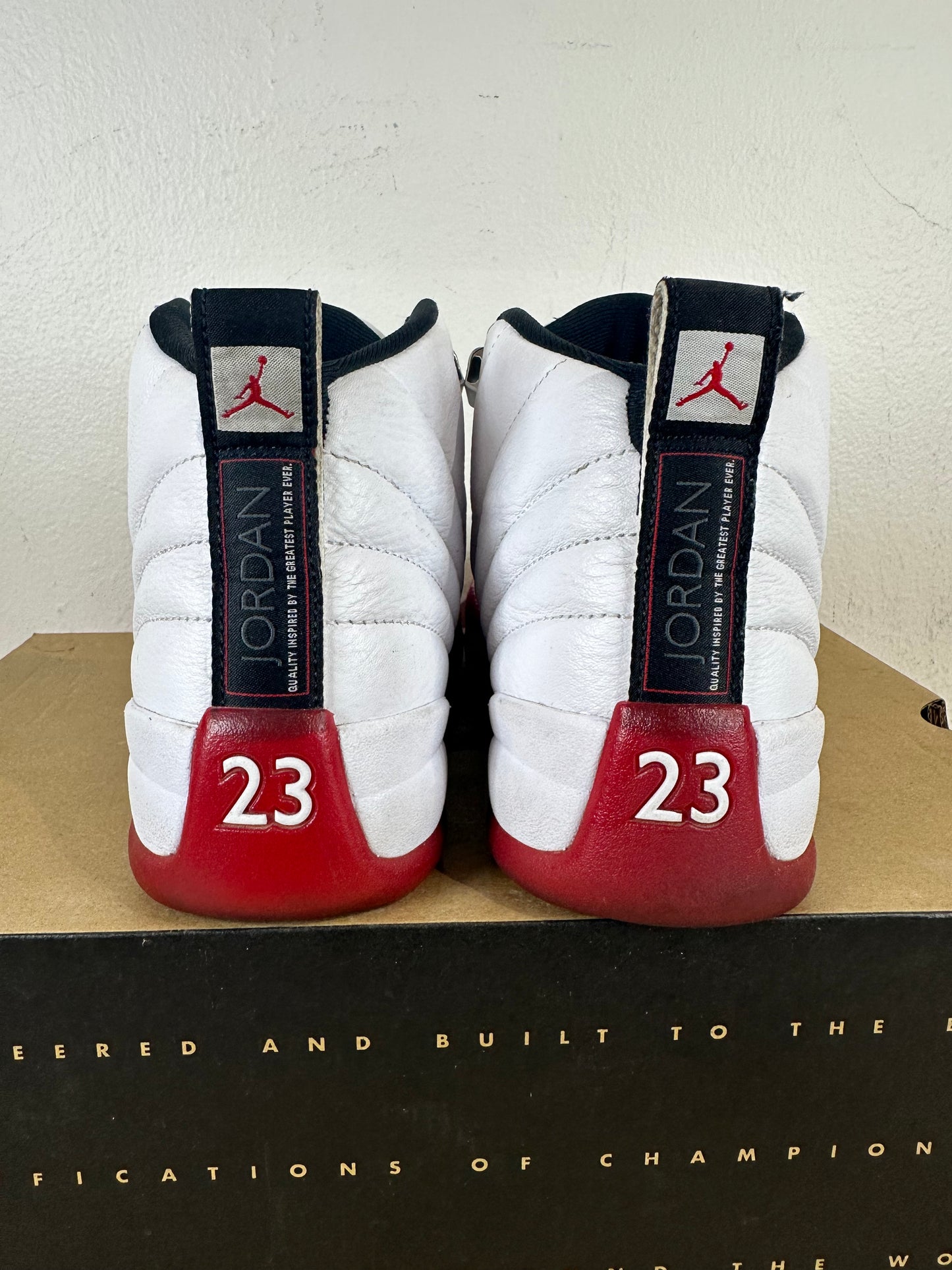 Air Jordan 12 Cherry (2023) Sz 8