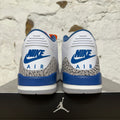 Air Jordan 3 True Blue (2026) Sz 10 DS