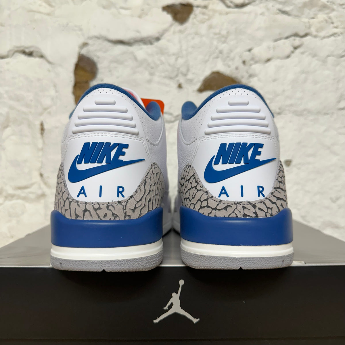 Air Jordan 3 True Blue (2026) Sz 10 DS