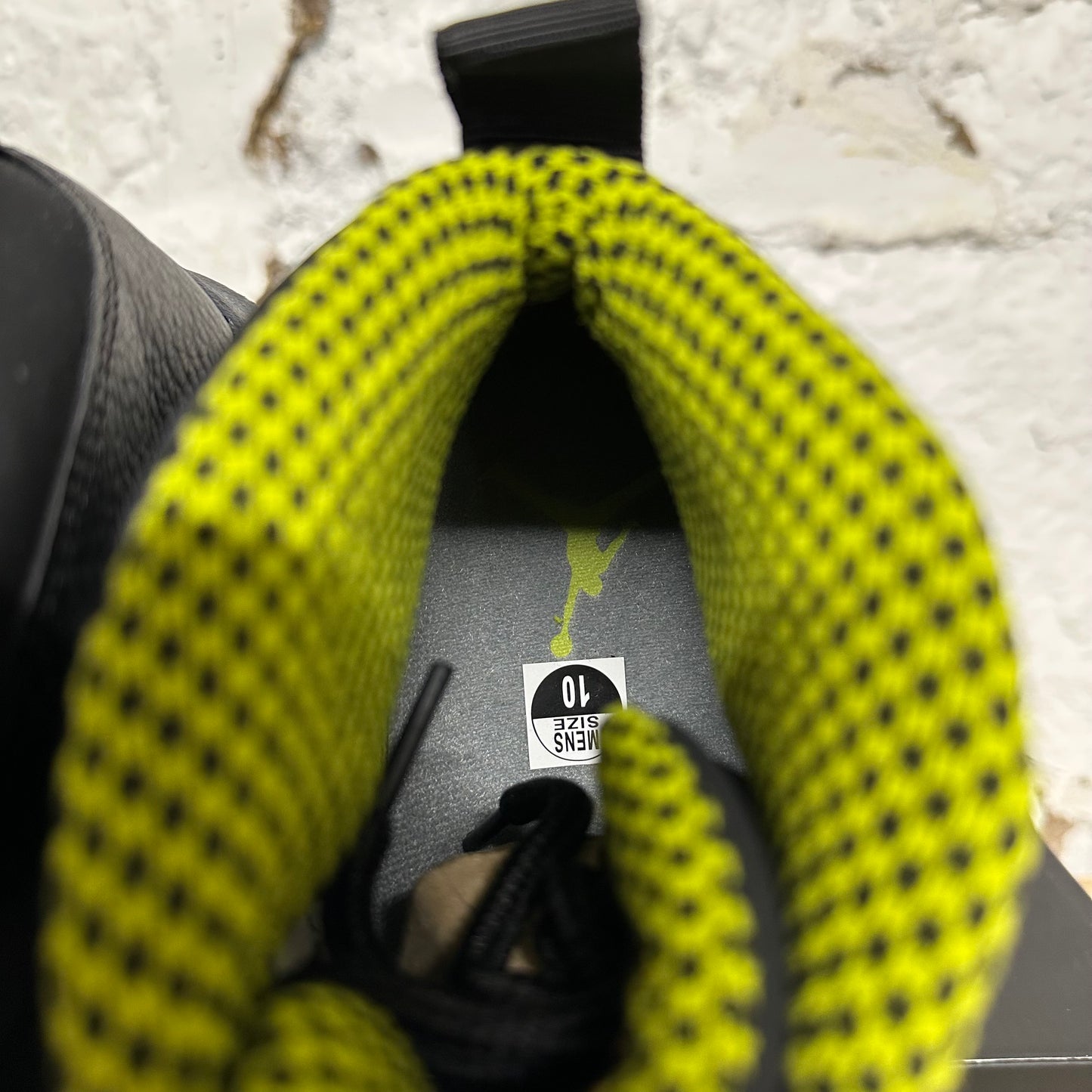 Air Jordan 10 Venom Green Sz 10 DS