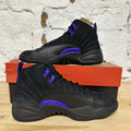 Air Jordan 12 Dark Concord Sz 8.5