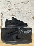 Nike Dunk Low Oregon Alternate Black Sz 9.5 DS
