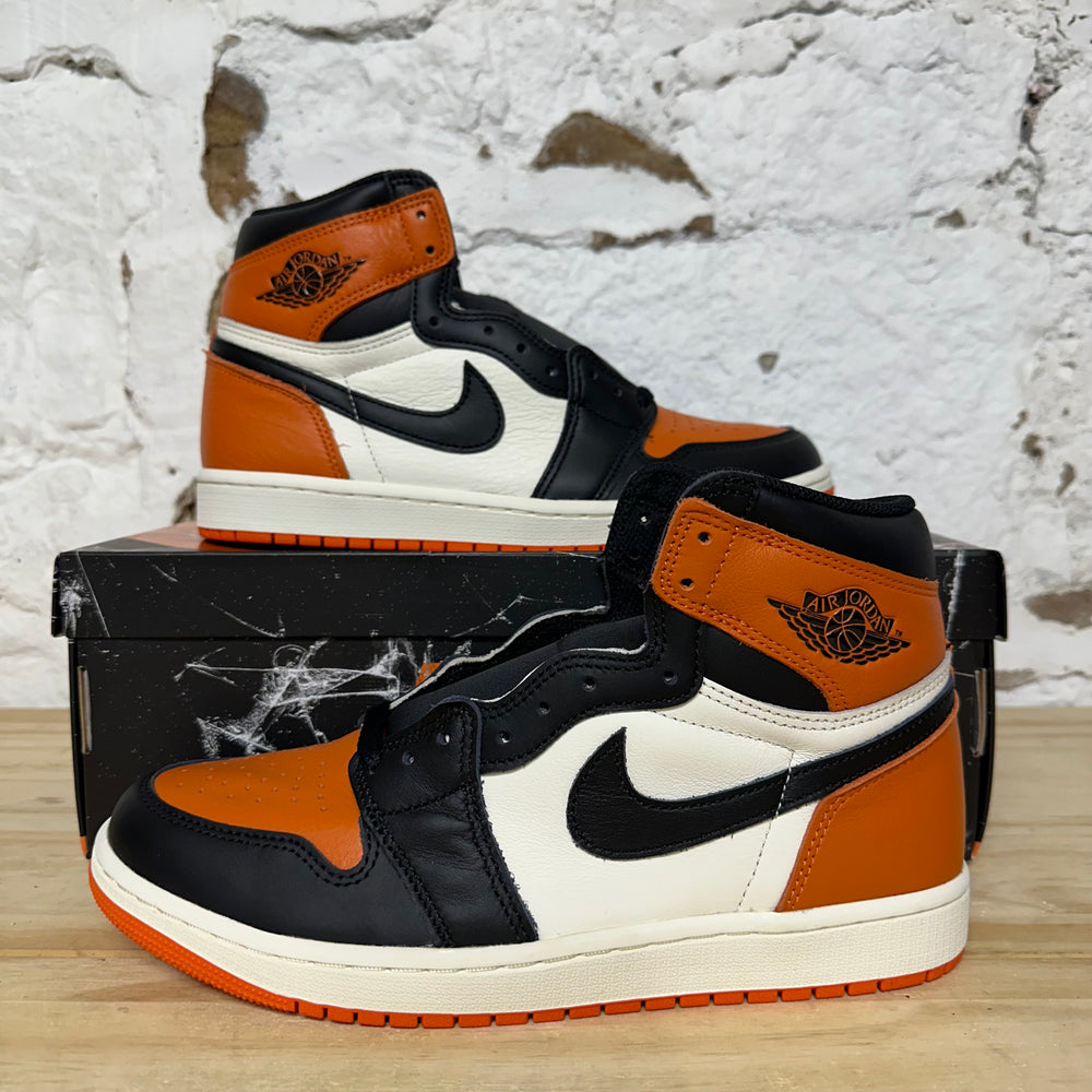 Air Jordan 1 High Shattered Backboard (2025) Sz 9 DS