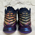 Nike LeBron 17 Monstars Sz 12