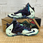 Nike LeBron 11 NOLA Gumbo League Gator King Sz 9