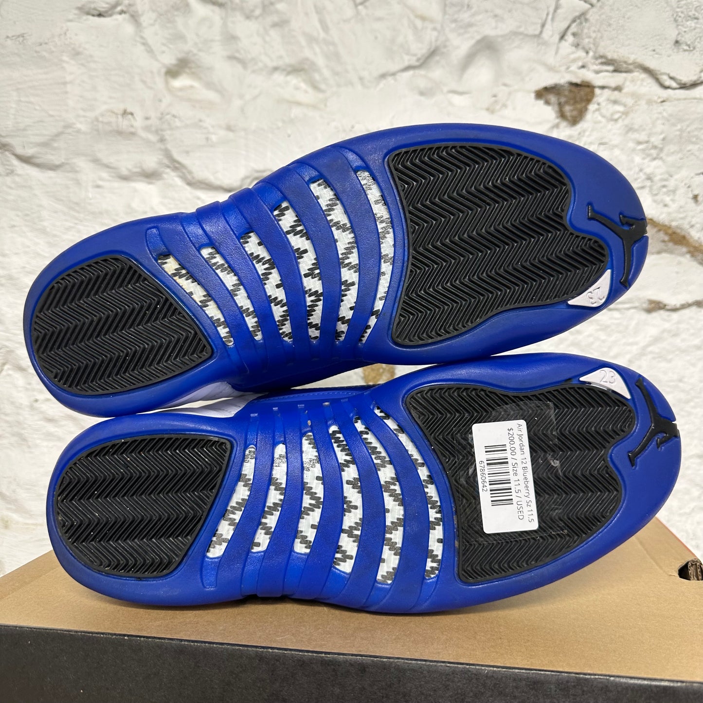 Air Jordan 12 Blueberry Sz 11.5