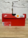 Nike Dunk High Blue Chill Sz 10.5 DS