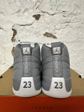 Air Jordan 12 Stealth Sz 10.5