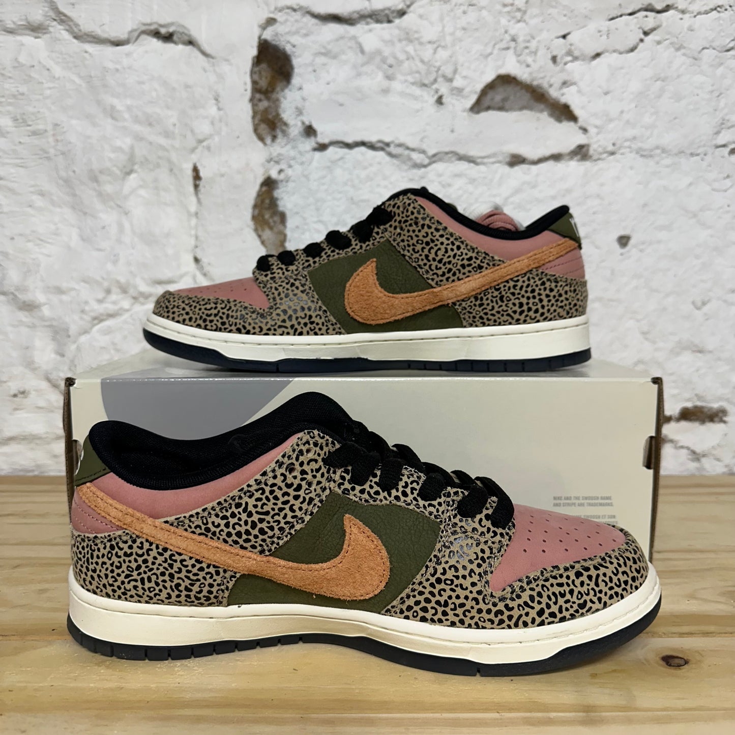 Nike Dunk Low Arts-Rec (Special Box) Sz 9.5 DS