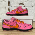 Nike SB Dunk Low Powerpuff Girls Blossom Sz 9