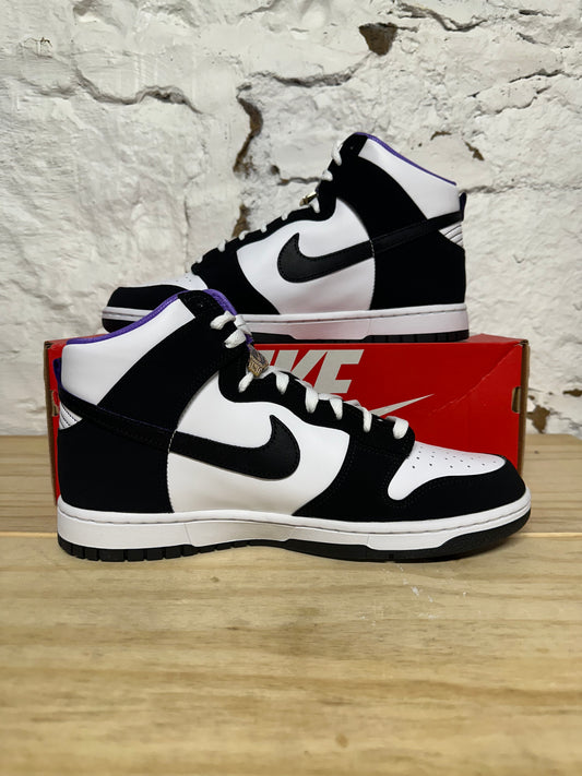 Nike Dunk High World Champs Sz 10.5 DS