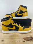 Air Jordan 1 High Pollen Sz 10.5