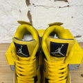 Air Jordan 4 Lightning (2021) Sz 12