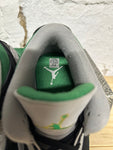 Air Jordan 3 Pine Green Sz 10.5