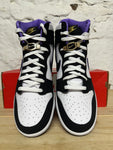 Nike Dunk High World Champs Sz 10.5 DS