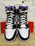 Nike Dunk High World Champs Sz 10.5 DS