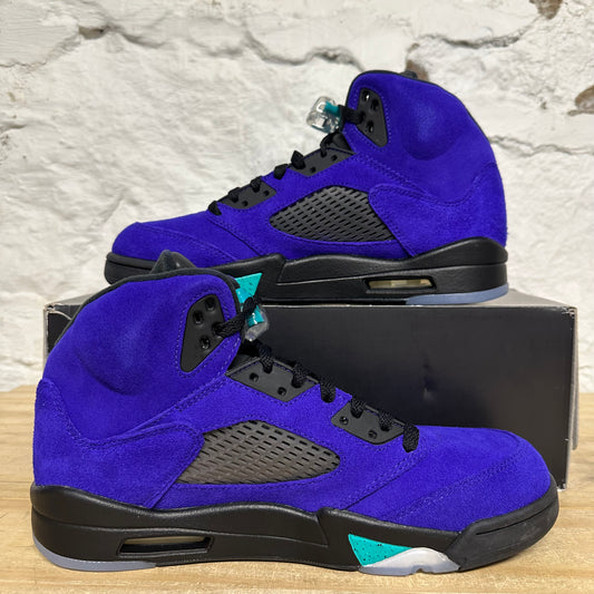 Air Jordan 5 Alternate Grape Sz 10.5 DS