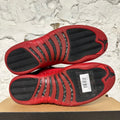 Air Jordan 12 Flu Game (2025) Sz 13