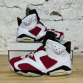 Air Jordan 6 Carmine (2021) Sz 10