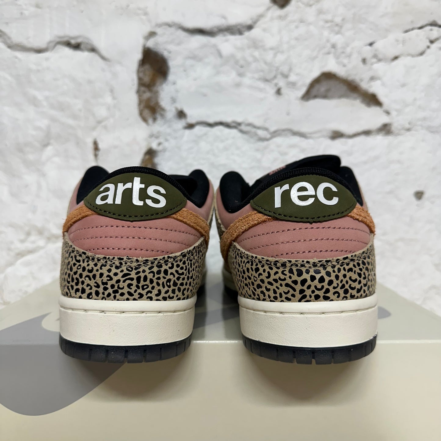 Nike Dunk Low Arts-Rec (Special Box) Sz 9.5 DS