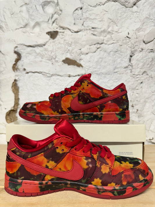 Nike SB Dunk Low Wizard Of Oz Sz 10